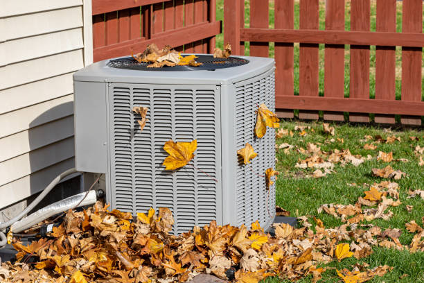 Best HVAC Air Duct Cleaning  in Meadow Woods, FL